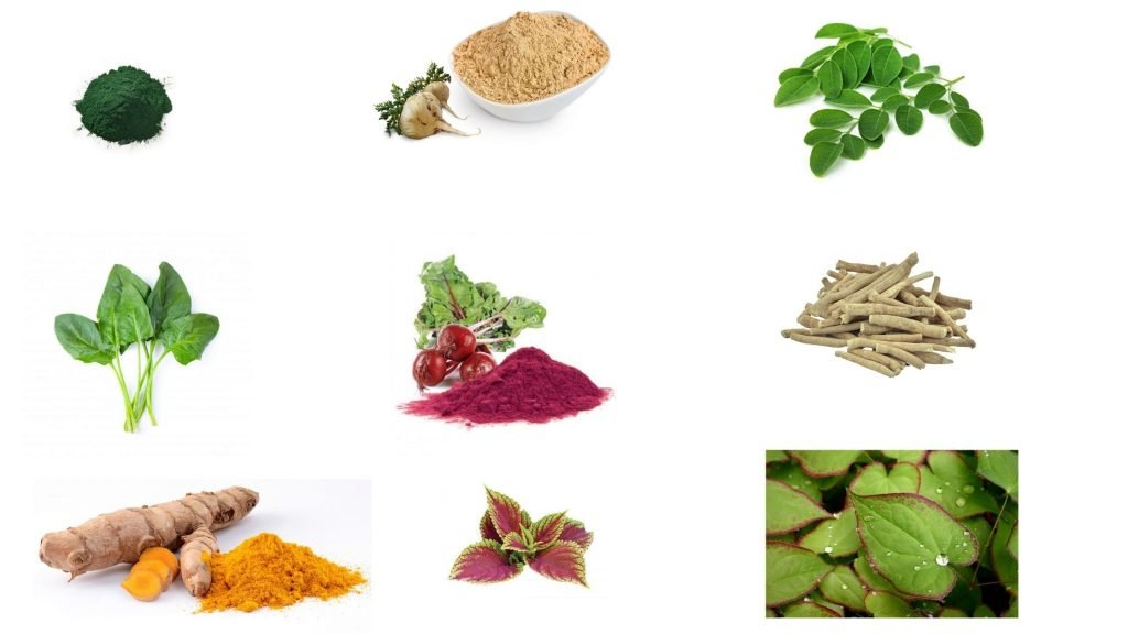 Man-Greens-ingredients